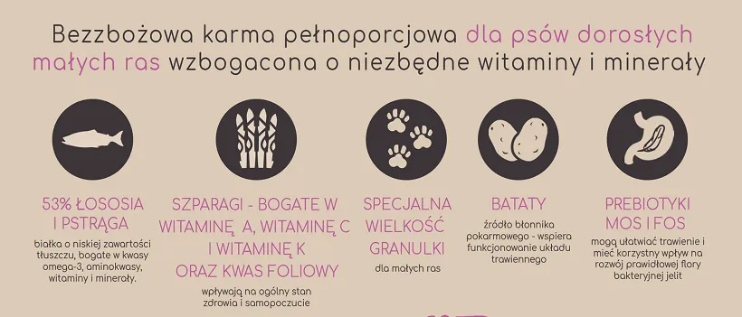 bataty dla psa wartości odżywcze infografika