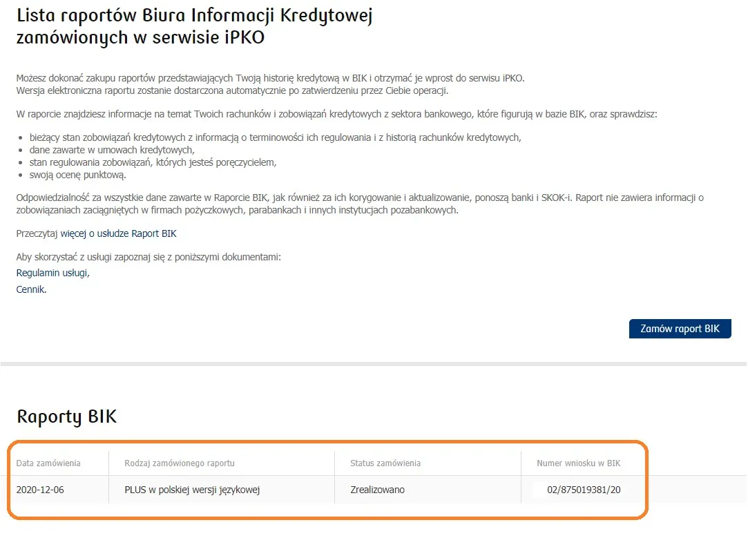 Zdjęcie Jak pobrać raport BIK w iPKO - proste kroki, uniknij problemów