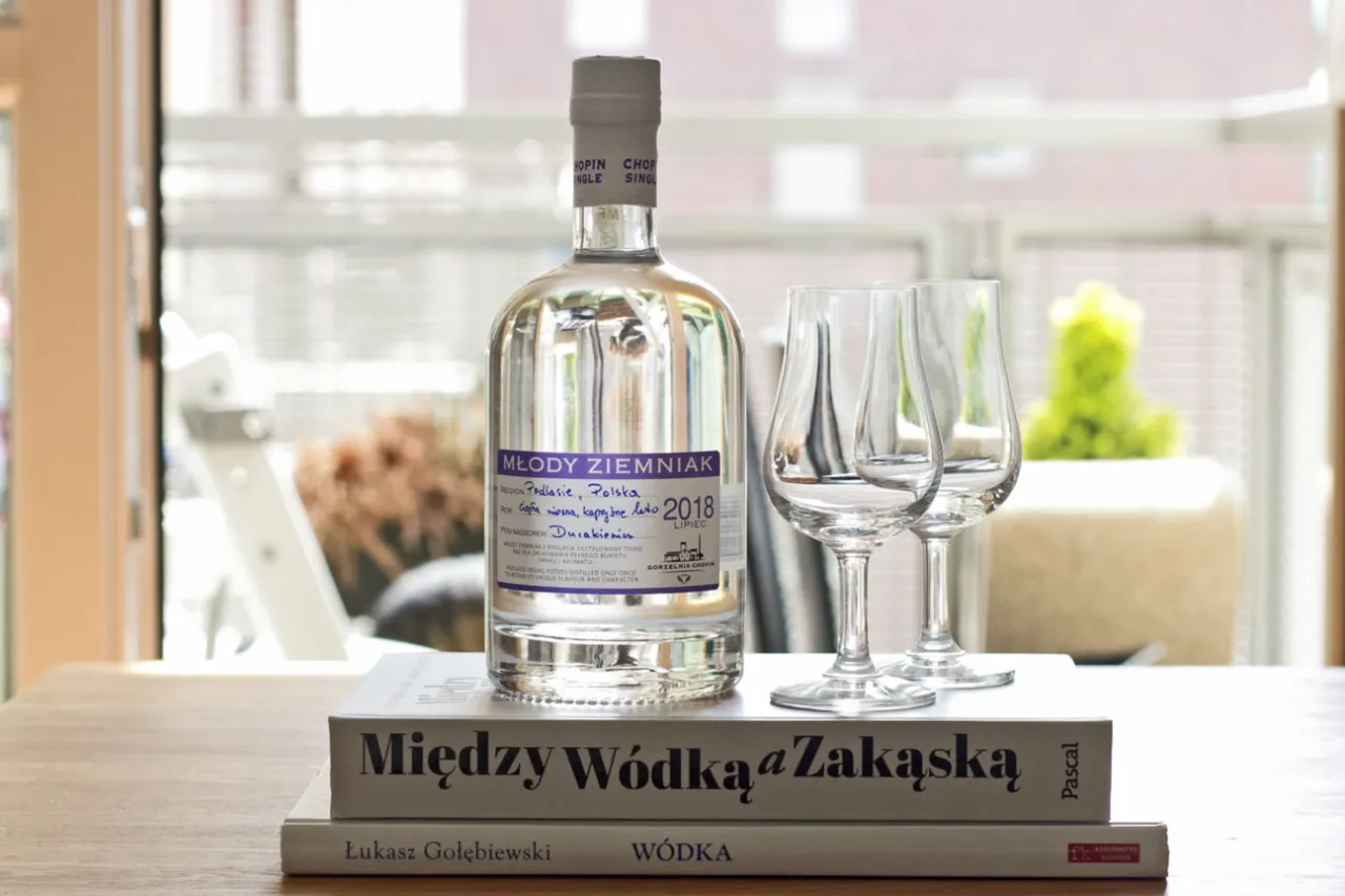 Zdjęcie Ile ma wódka? Odkryj, ile alkoholu kryje się w butelce