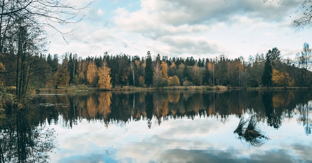 Zdjęcie Gdzie w lubelskim na weekend pełen wrażeń? To najlepsze miejsca