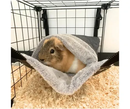 Zdjęcie Jak wykonać hamak dla świnki morskiej DIY, by zapewnić jej komfort