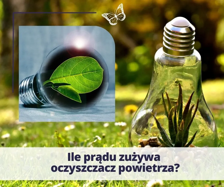 Zdjęcie Ile prądu zużywa oczyszczacz powietrza? Sprawdź, ile zapłacisz