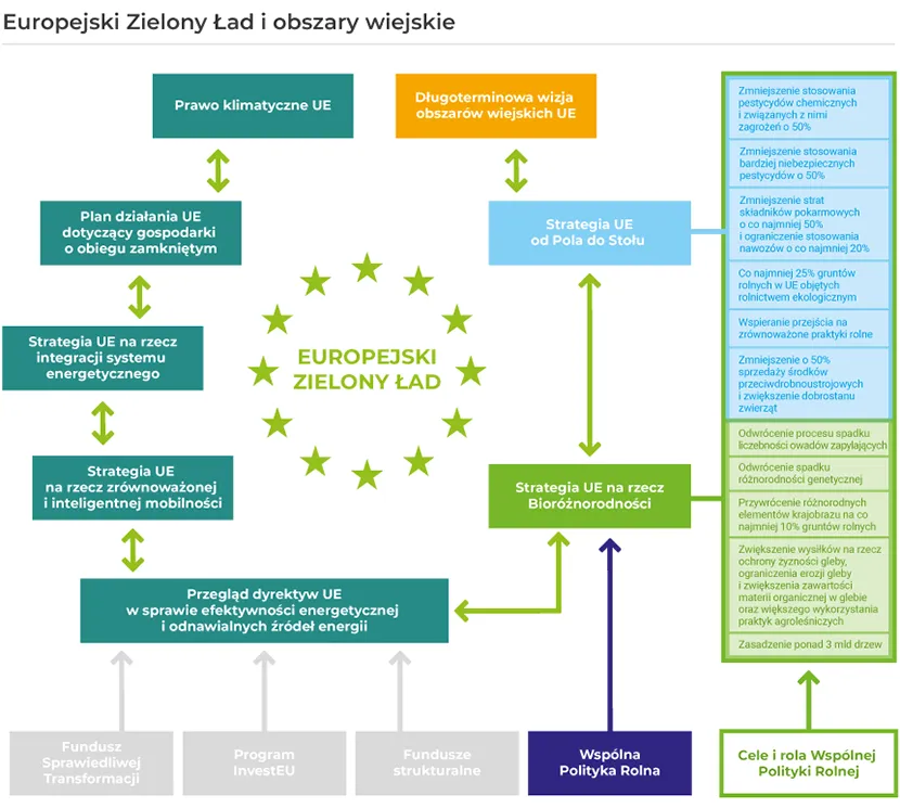 Zdjęcie Zielony ład co to znaczy i jak wpłynie na przyszłość Europy