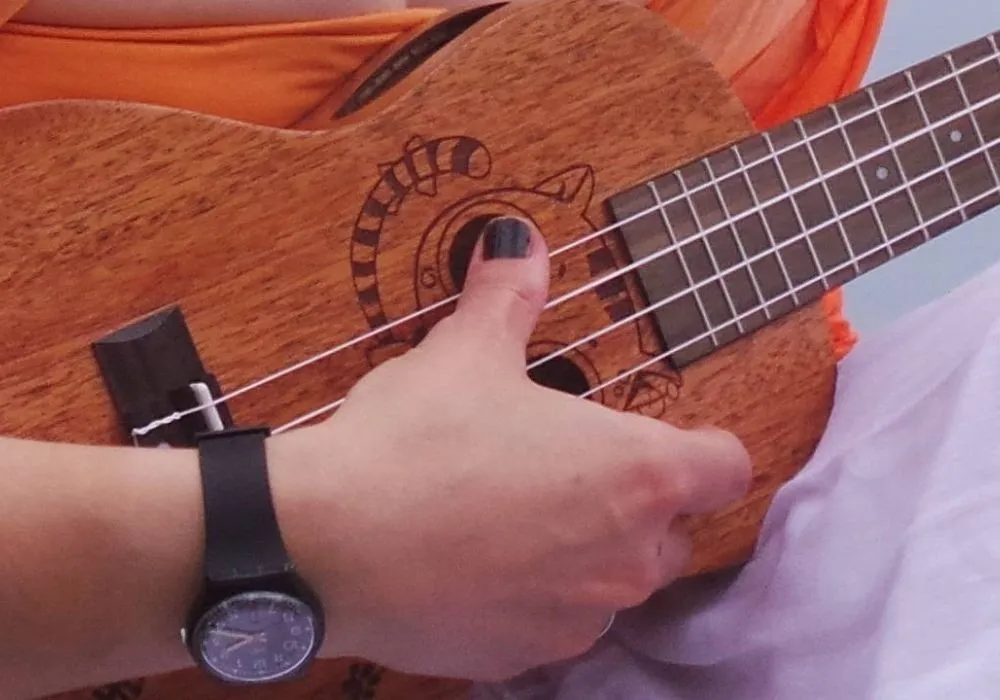 Zdjęcie Jakie struny do ukulele wybrać: kompletny poradnik dla początkujących