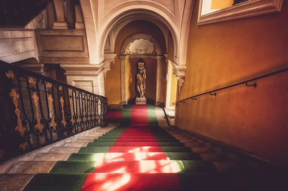 Zdjęcie Jak bez wysiłku wyczyścić brudną wykładzinę dywanową w domu