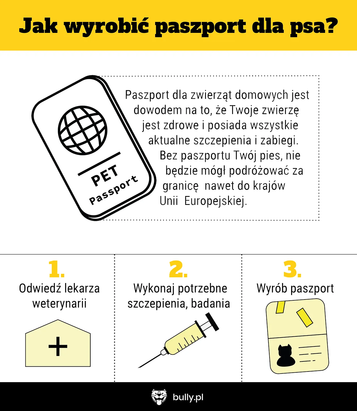 Zdjęcie Jak opłacić paszport bez problemów? Proste metody i ważne wskazówki