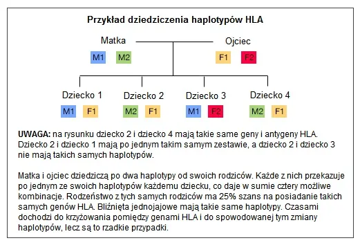 Zdjęcie HLA-B27: Co to za badanie i kiedy jest zalecane? Wyjaśniamy
