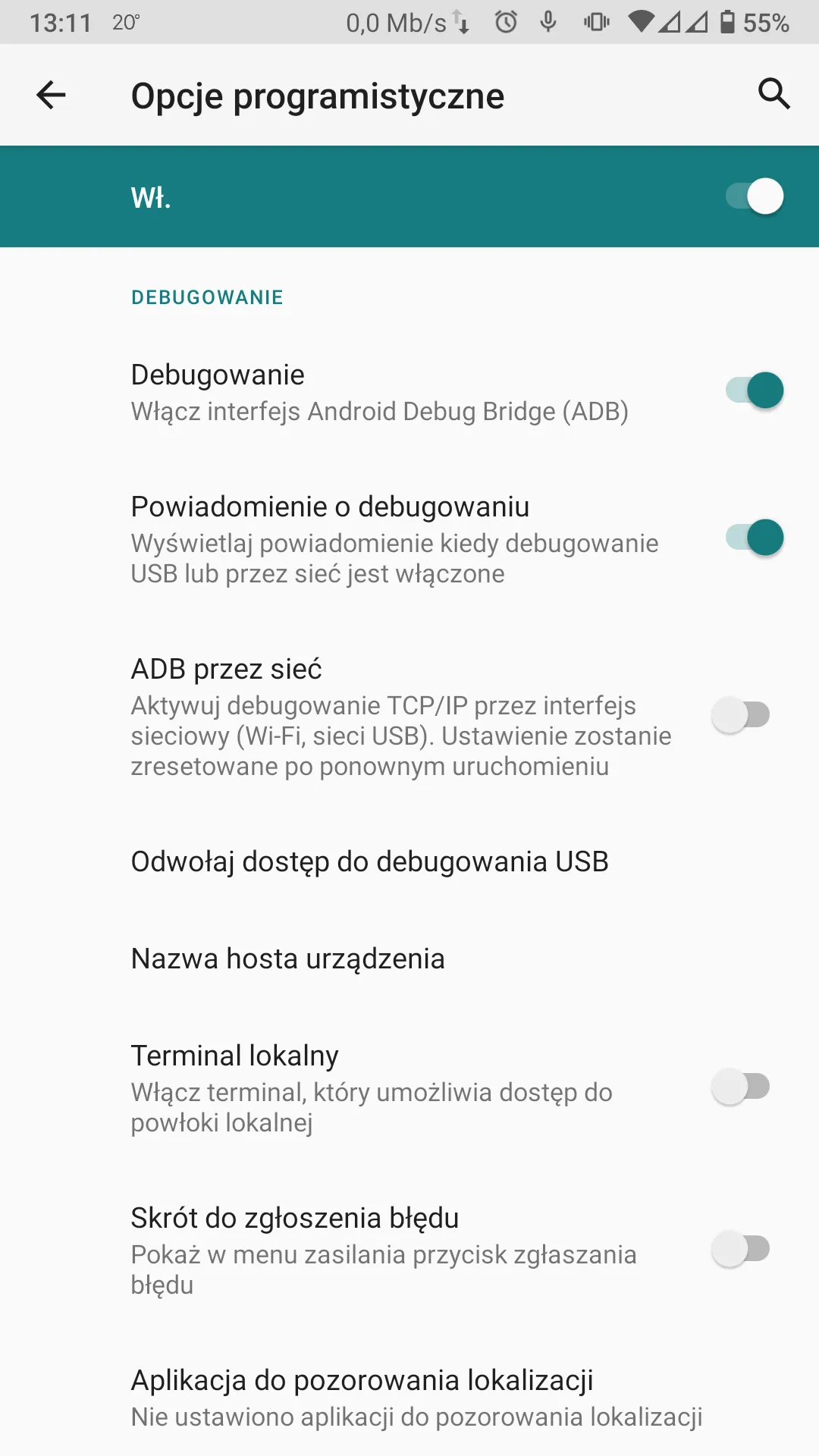 Zdjęcie Jak włączyć opcje programistyczne: krok po kroku poradnik