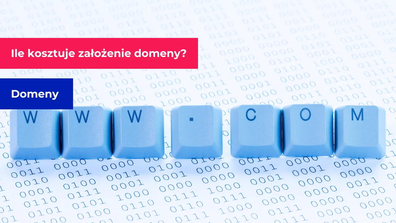 Zdjęcie Ile kosztuje własna domena? Sprawdź ceny i ukryte opłaty
