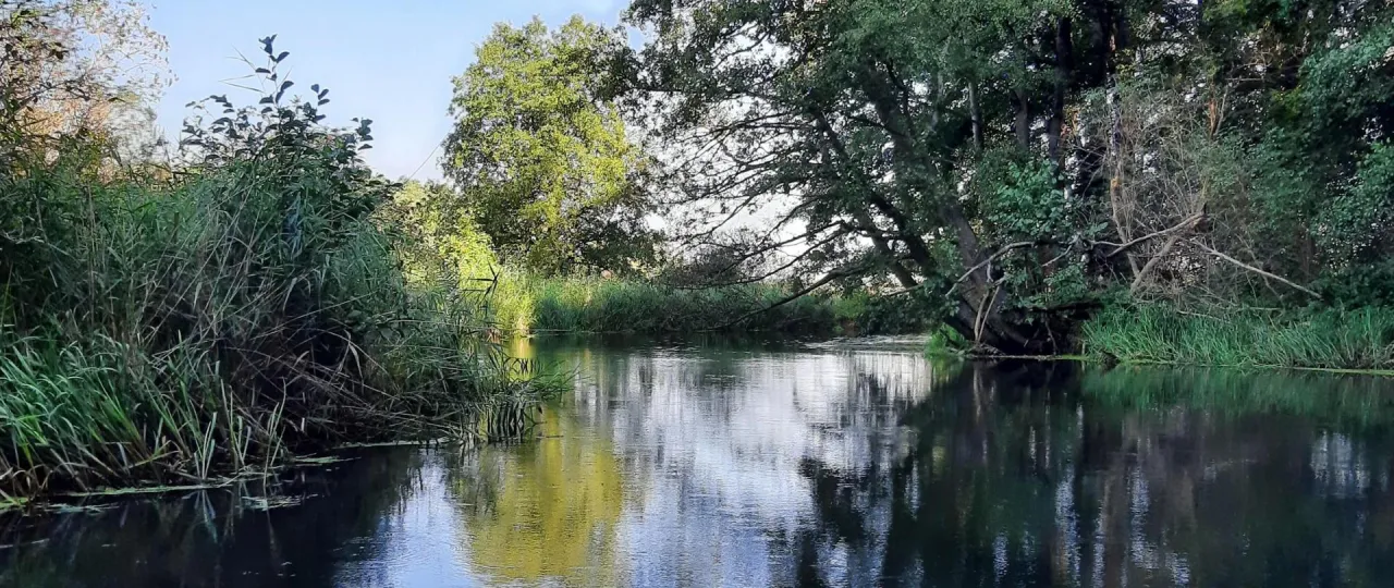 Zdjęcie Jaka rzeka przepływa przez Olsztyn? Odkryj fascynującą Łynę