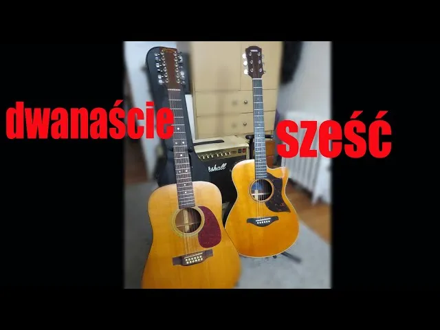 Zdjęcie Gitara 12-strunowa - czym różni się od 6-strunowej?