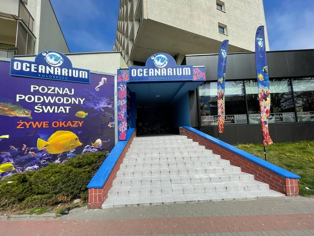 Zdjęcie Ile kosztuje bilet do oceanarium w Kołobrzegu? Ceny i zniżki