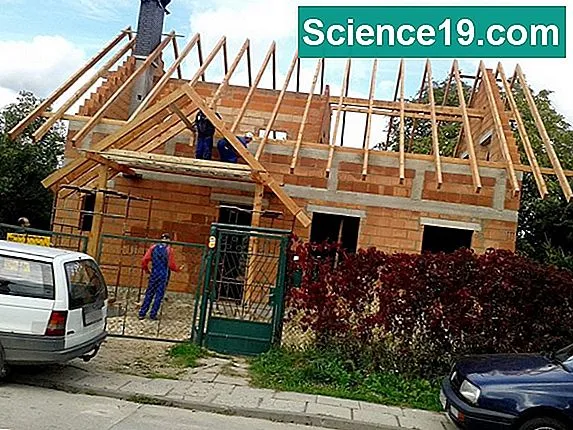 Zdjęcie Co to są wierzchołki w matematyce? Zrozumienie kluczowego pojęcia