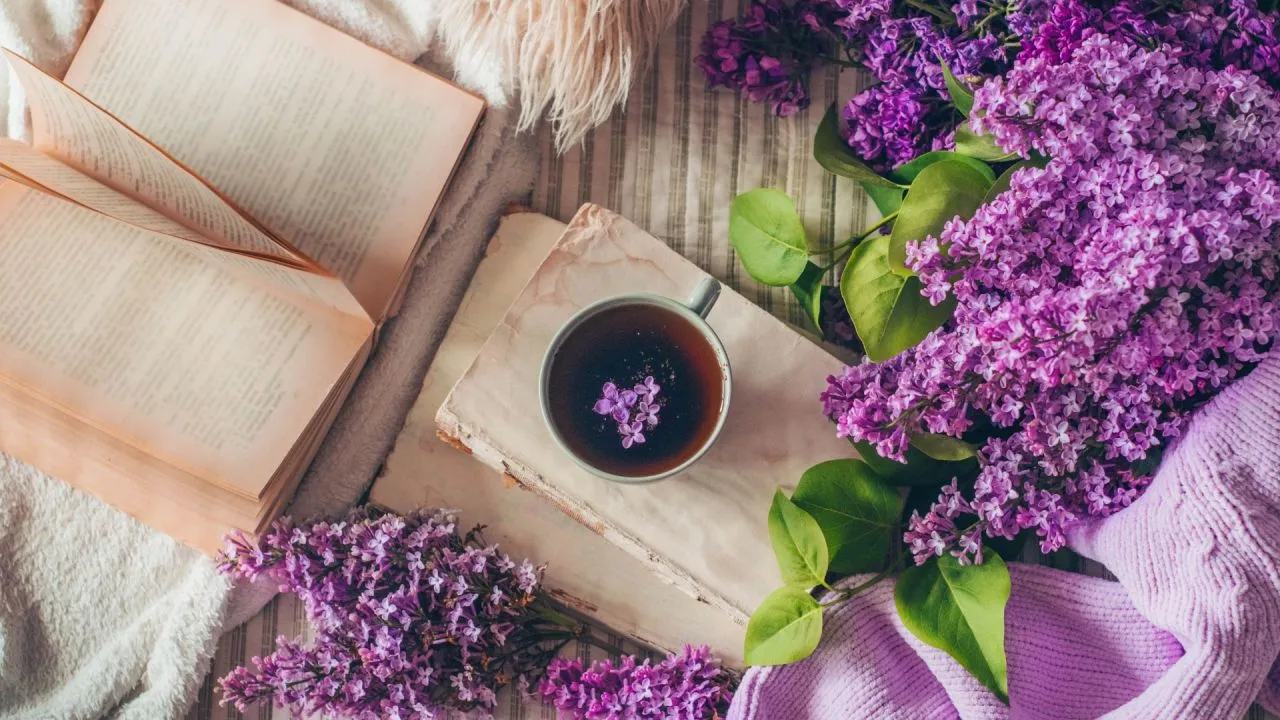 Zdjęcie Wiersze o wiosennej łące: piękno natury i emocje w poezji