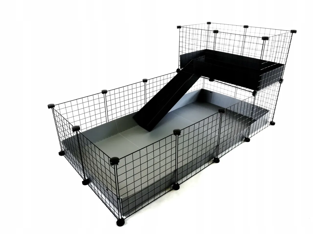 aranżacja klatki dla świnki morskiej