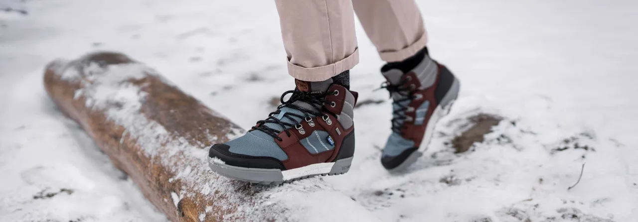 anatomia scarpa montagna infografica