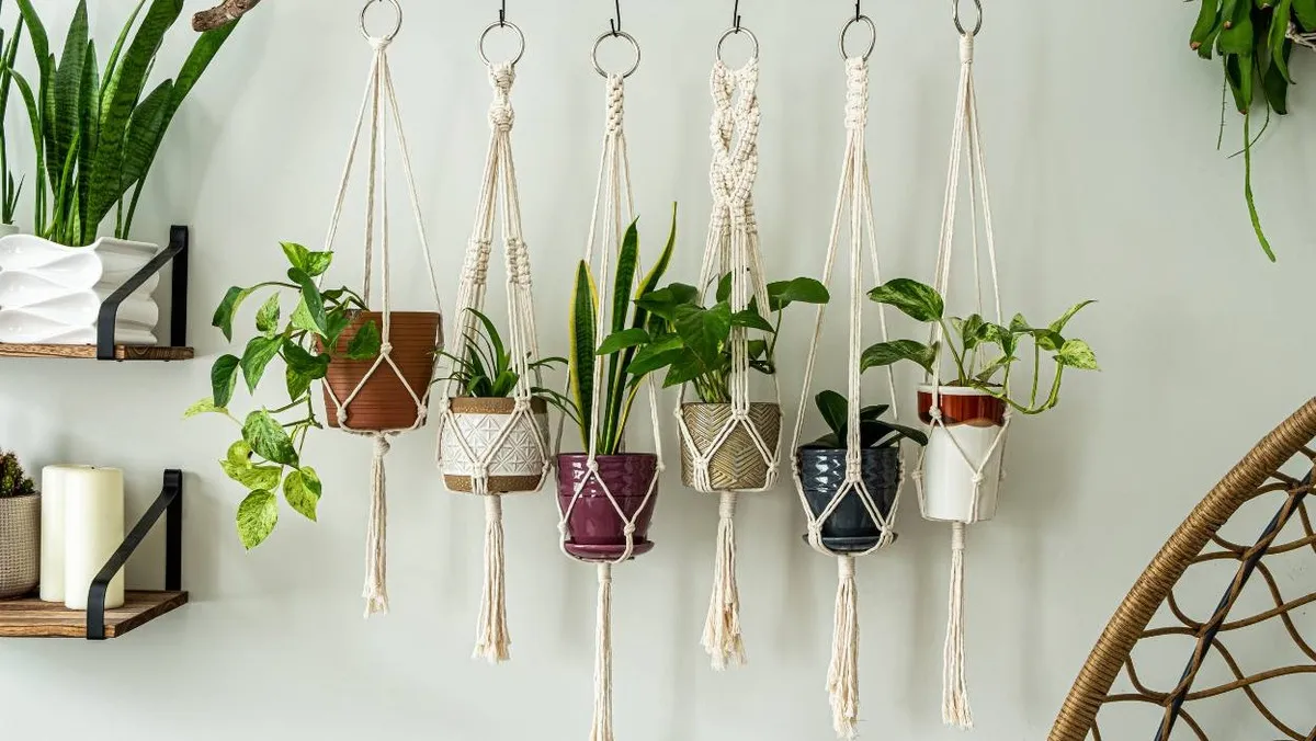 różne rodzaje kwietników ściennych DIY