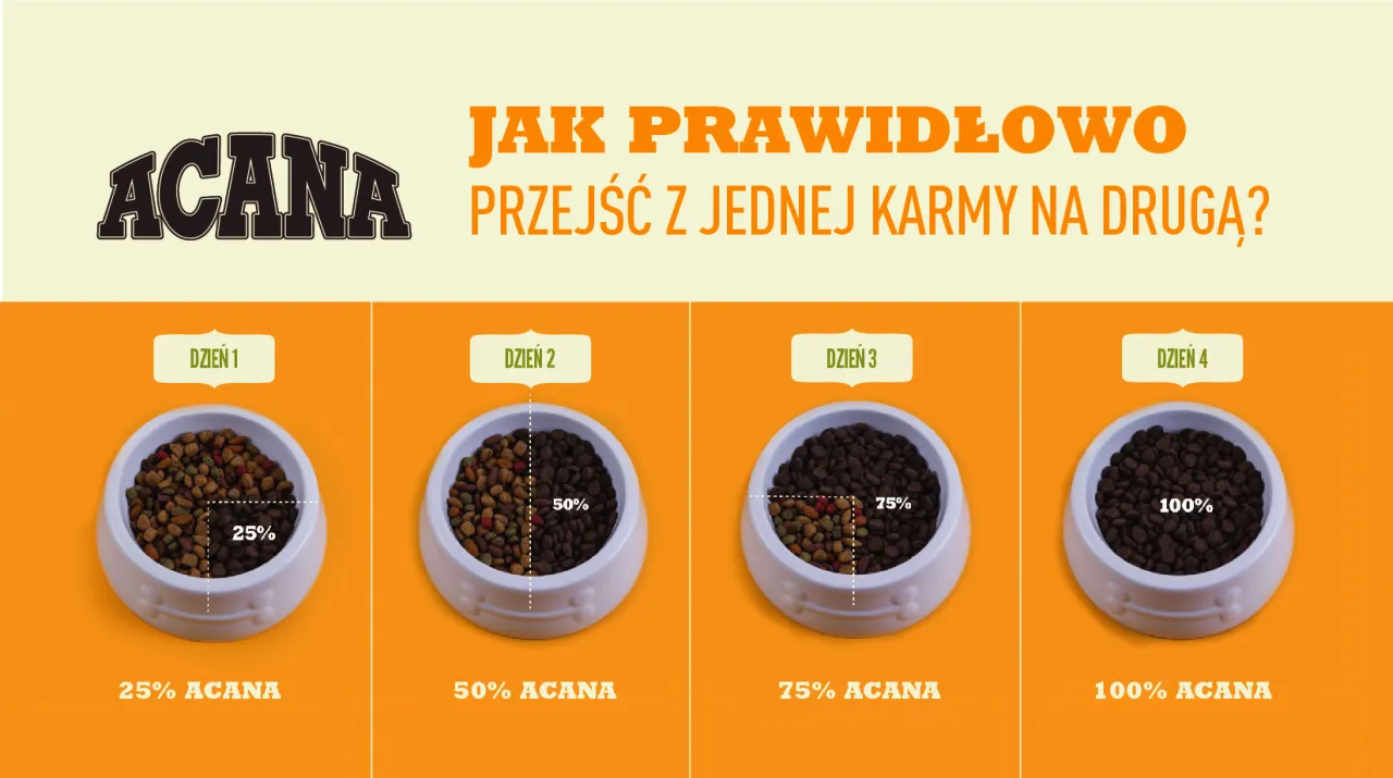 Schemat zmiany karmy dla psa proporcje