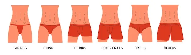 Rodzaje bielizny męskiej infografika