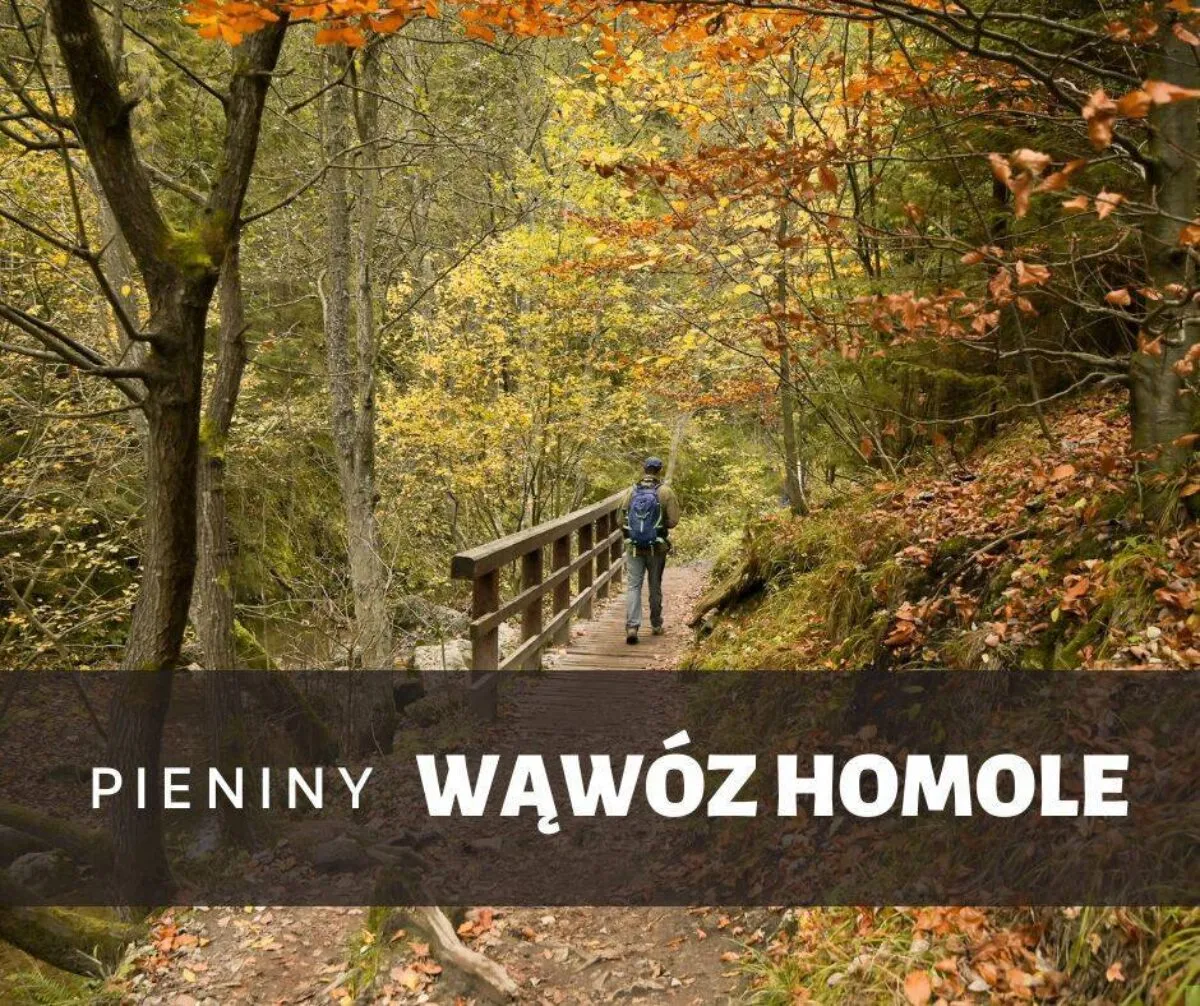 Wąw&oacute;z Homole jesień