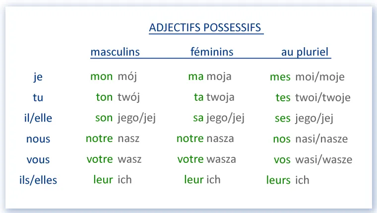 francuskie zaimki dzierżawcze vs przymiotniki dzierżawcze grafika por&oacute;wnawcza