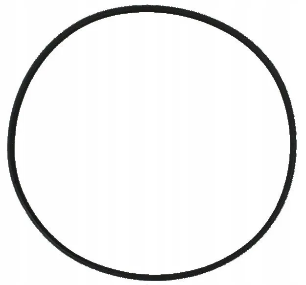 uszczelka głowicy filtra akwarystycznego