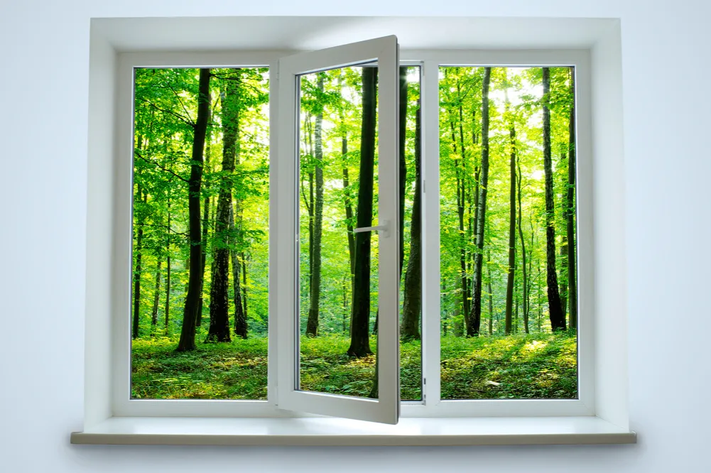 lśniące, czyste okno z widokiem na zieleń