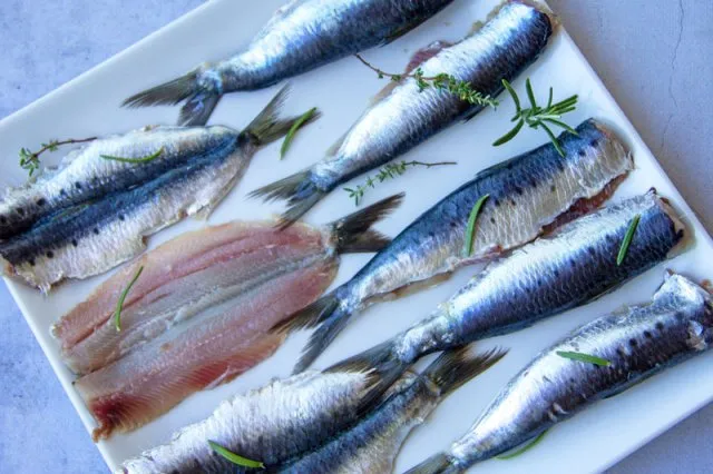 Sardines fraîches sur un étal de poissonnier