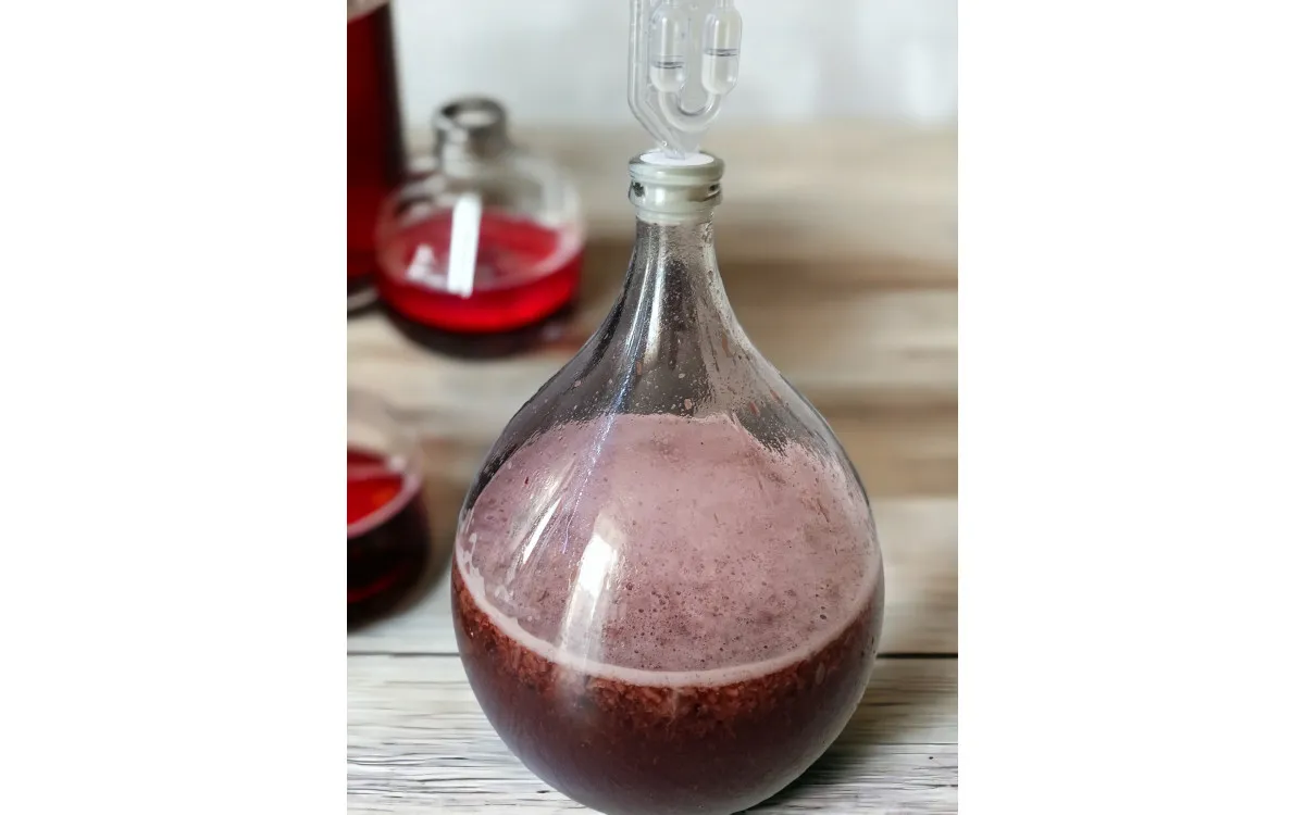 Fermentacja burzliwa wina w balonie