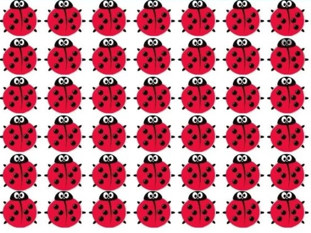 Szablon zagadek o biedronce do druku