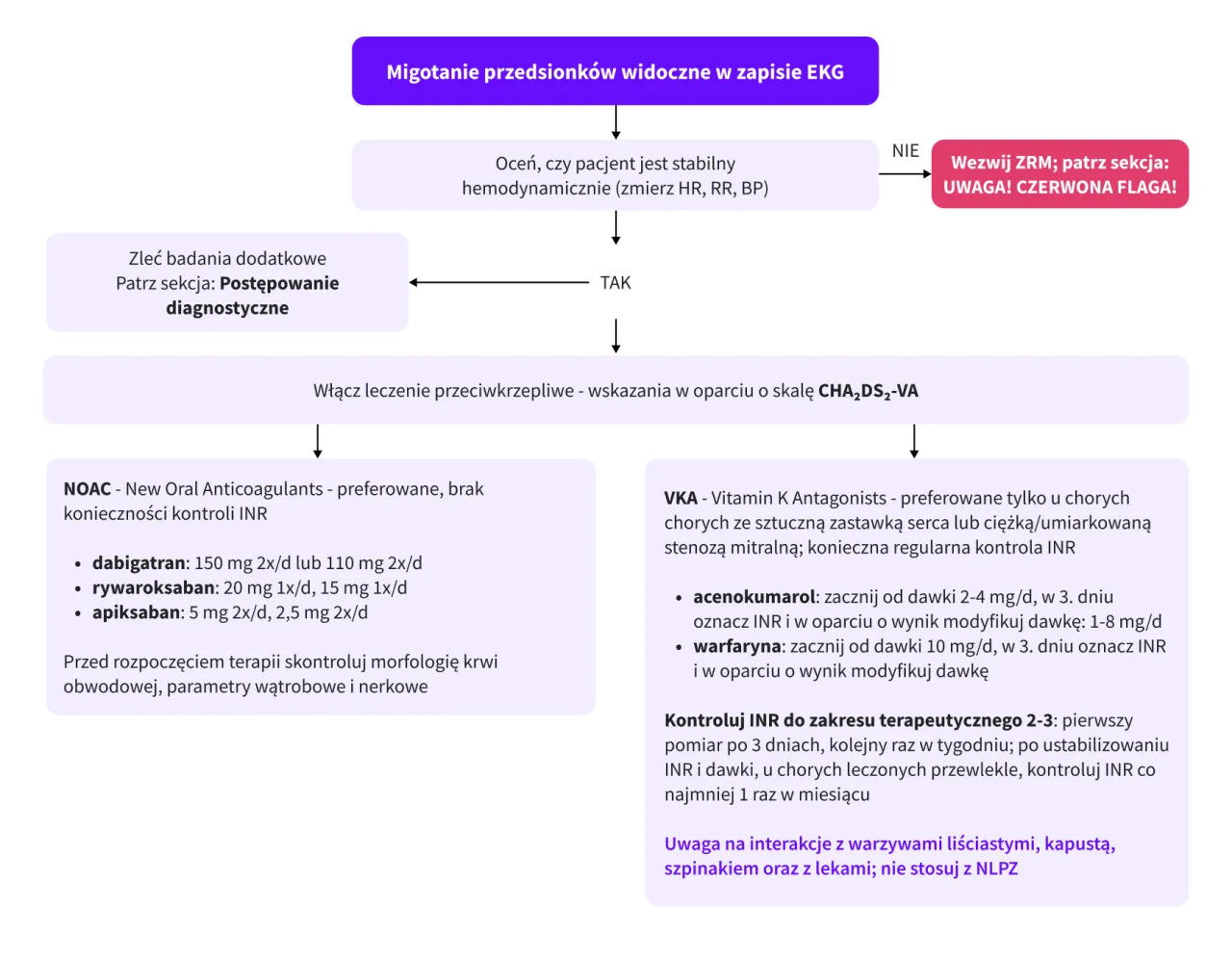 Kardiolog dob&oacute;r lek&oacute;w migotanie przedsionk&oacute;w