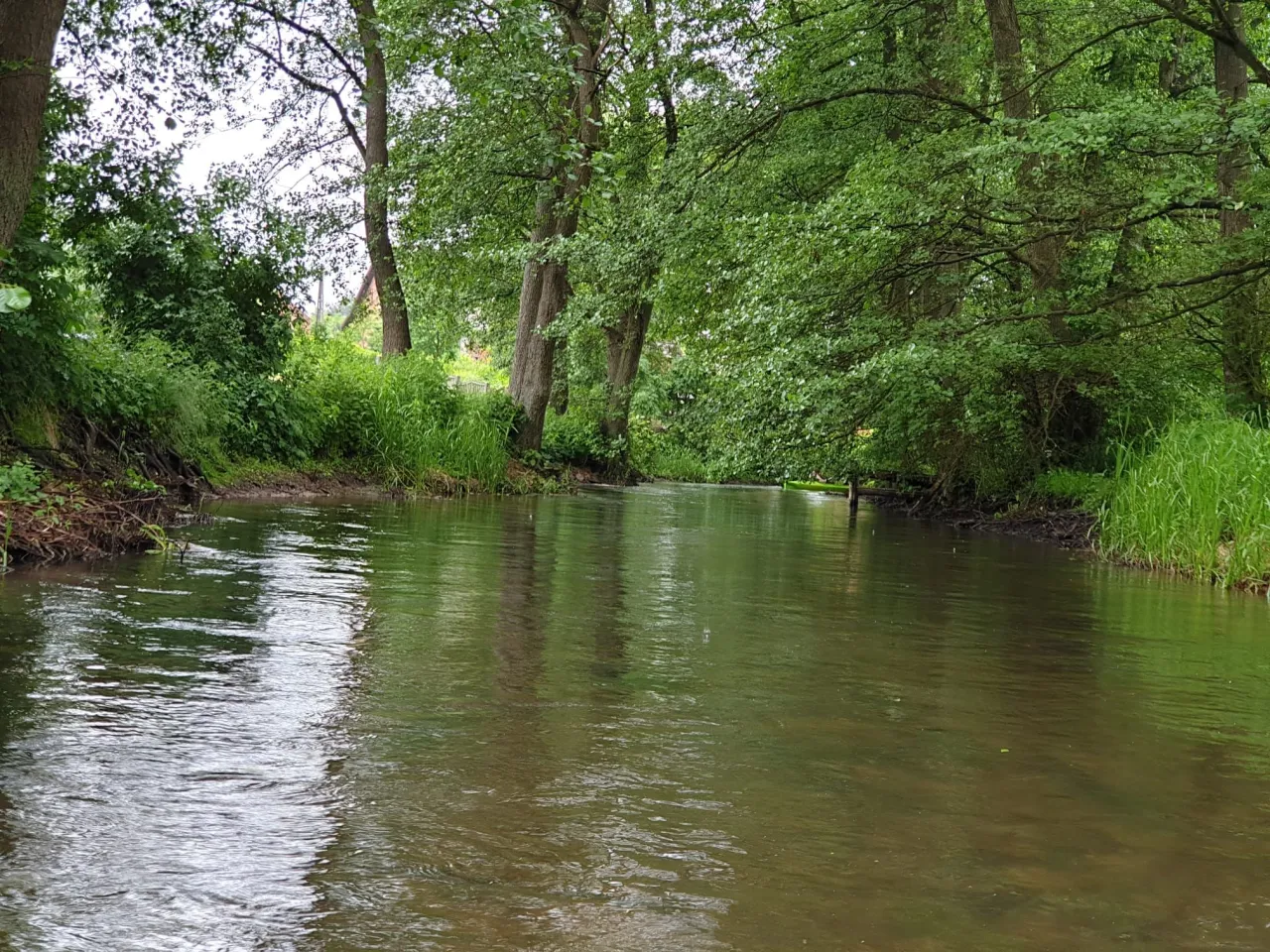 Malownicze krajobrazy rzeki Piławy