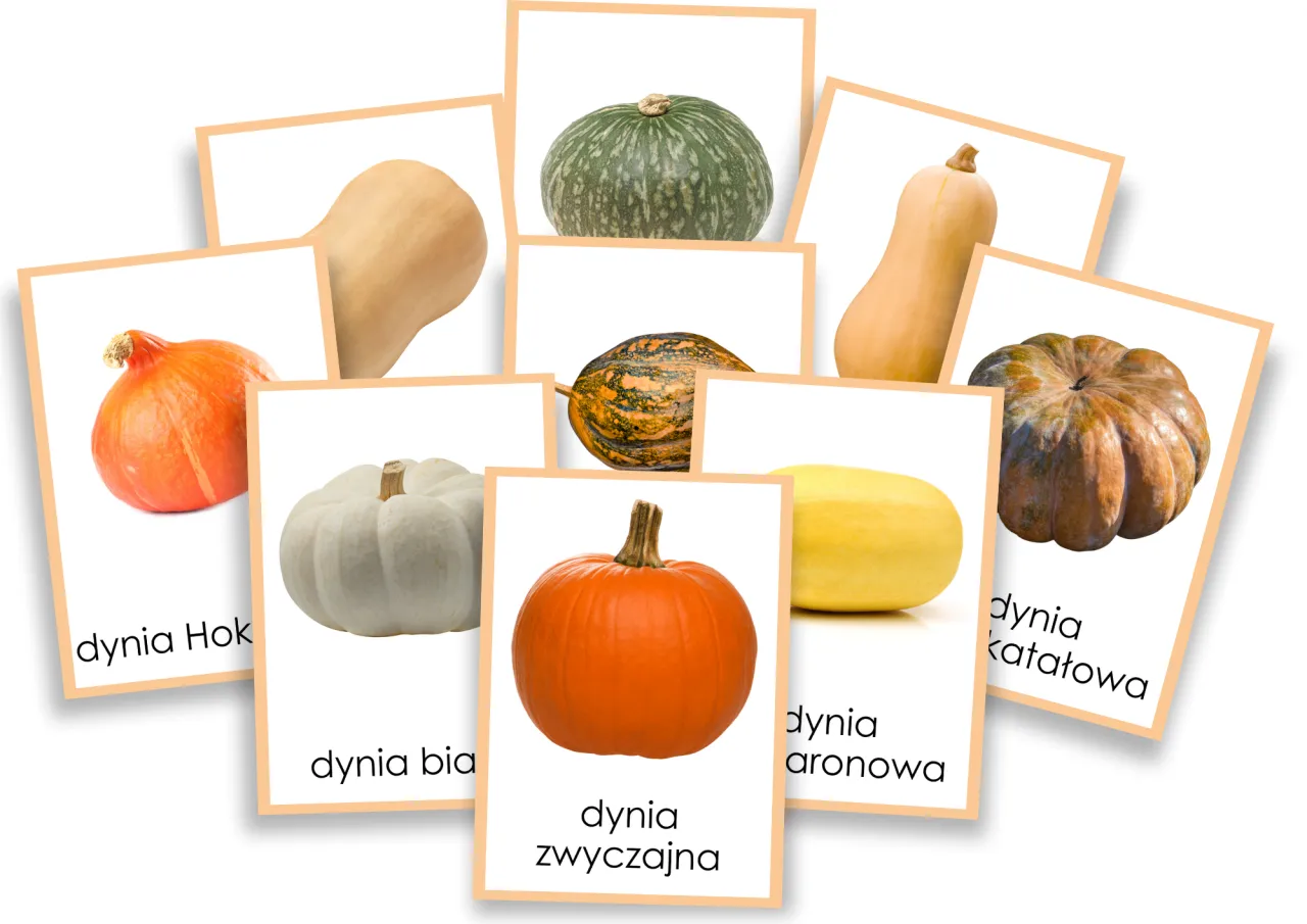 różne odmiany dyni dla niemowlaka