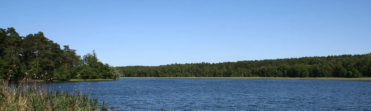 Jezioro Ostrowite Bory Tucholskie widok