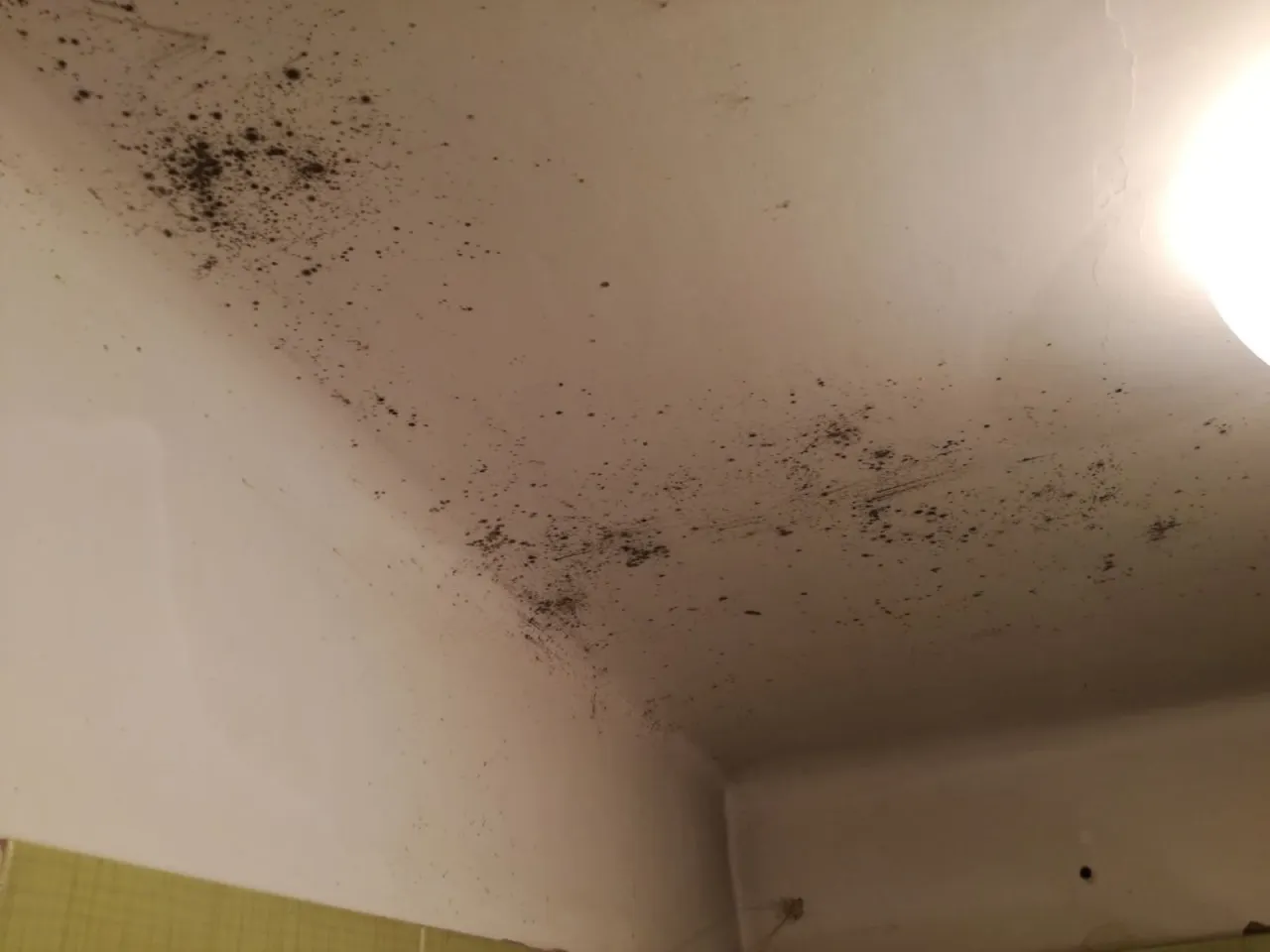 pleśń w łazience wentylacja