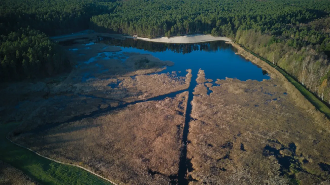 Roztoczański Park Narodowy konik polski Stawy Echo