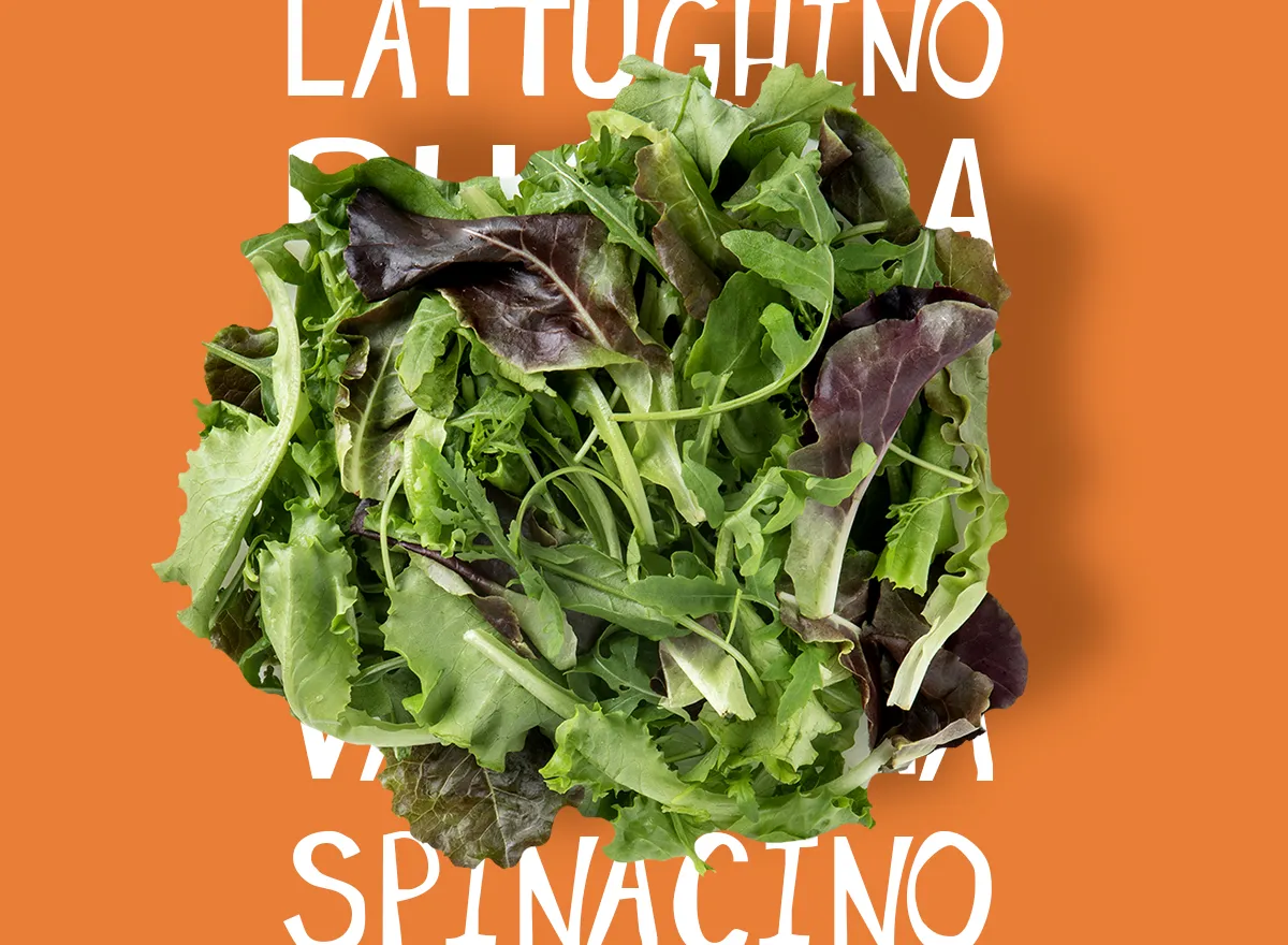 misticanza e erbe spontanee