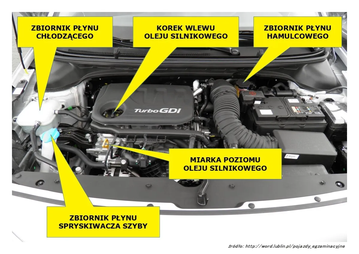 Zdjęcie Hyundai i20: Co kryje się pod maską tego popularnego modelu?