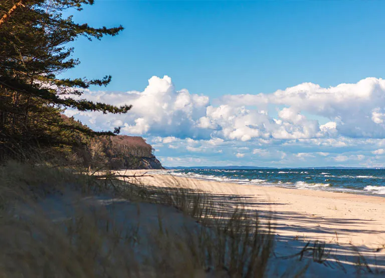 Widok na klify Wolińskiego Parku Narodowego