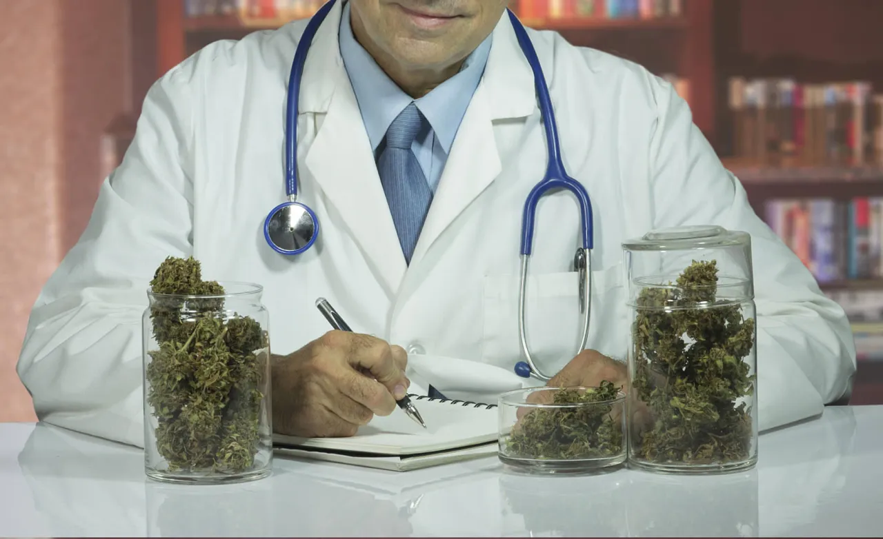 Lekarz konsultacja medyczna marihuana