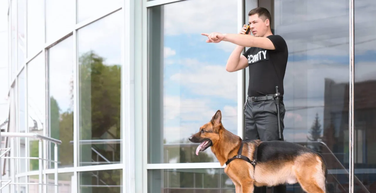 obiekty podlegające obowiązkowej ochronie w Polsce