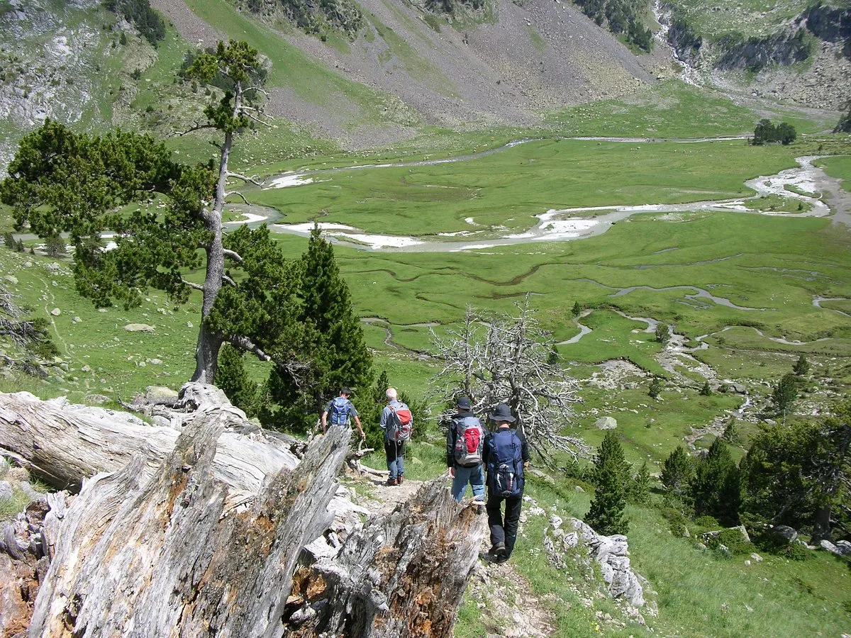 Zdjęcie Barrabes esquí y montaña: equipamiento esencial para tus aventuras