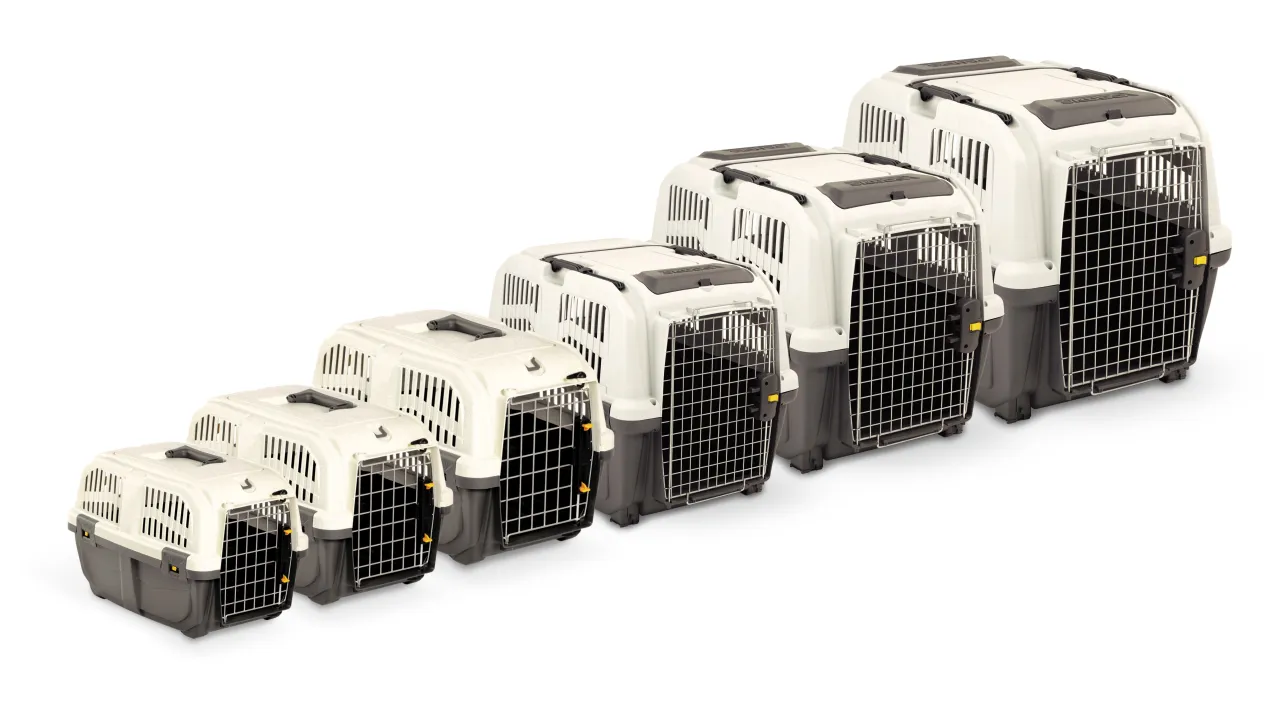 transporter dla psa z atestem IATA