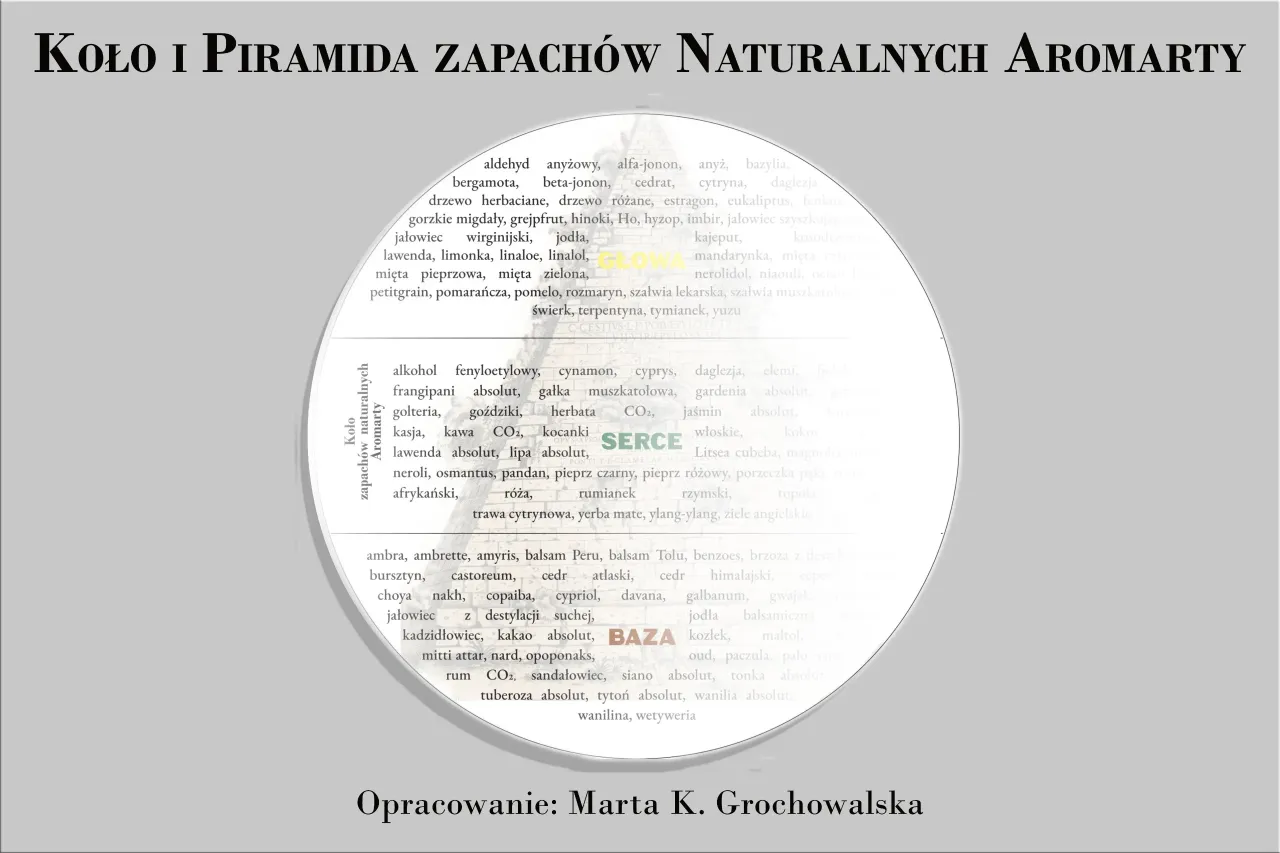 piramida zapachowa perfum schemat