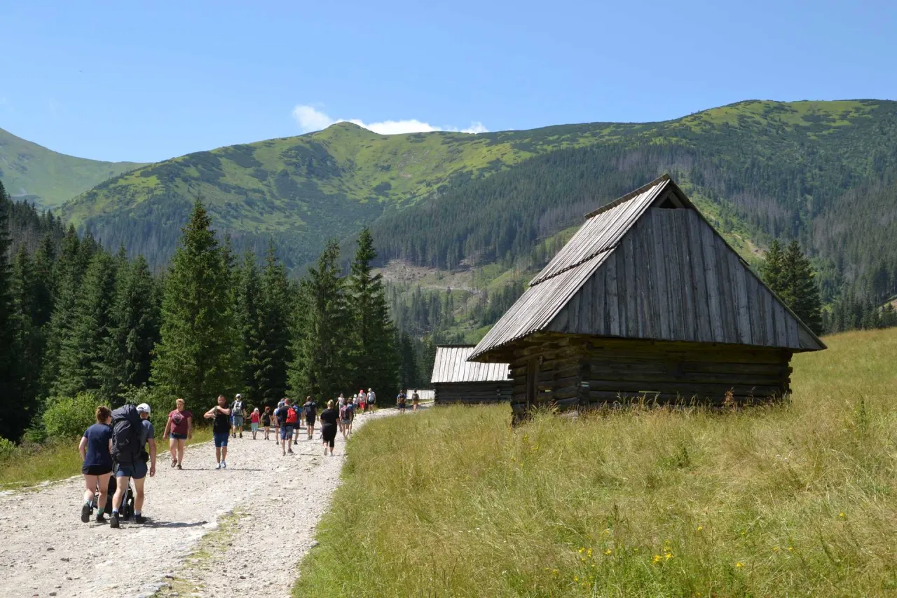 Bac&oacute;wka Siwa Polana Dolina Chochołowska