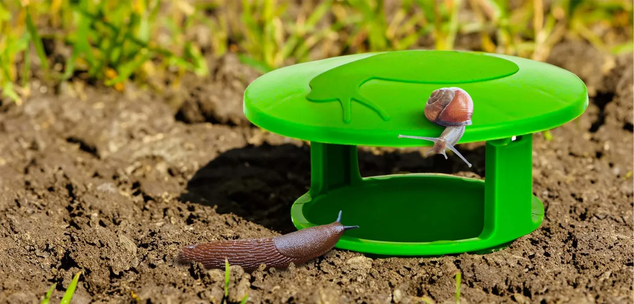Ogrodnik sprawdza rośliny w szklarni z latarką