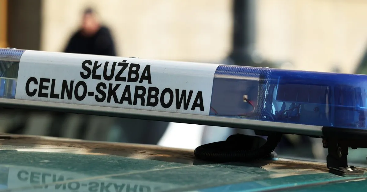 Zdjęcie Jak się dostać do służby celnej? Wymagania i proces rekrutacji
