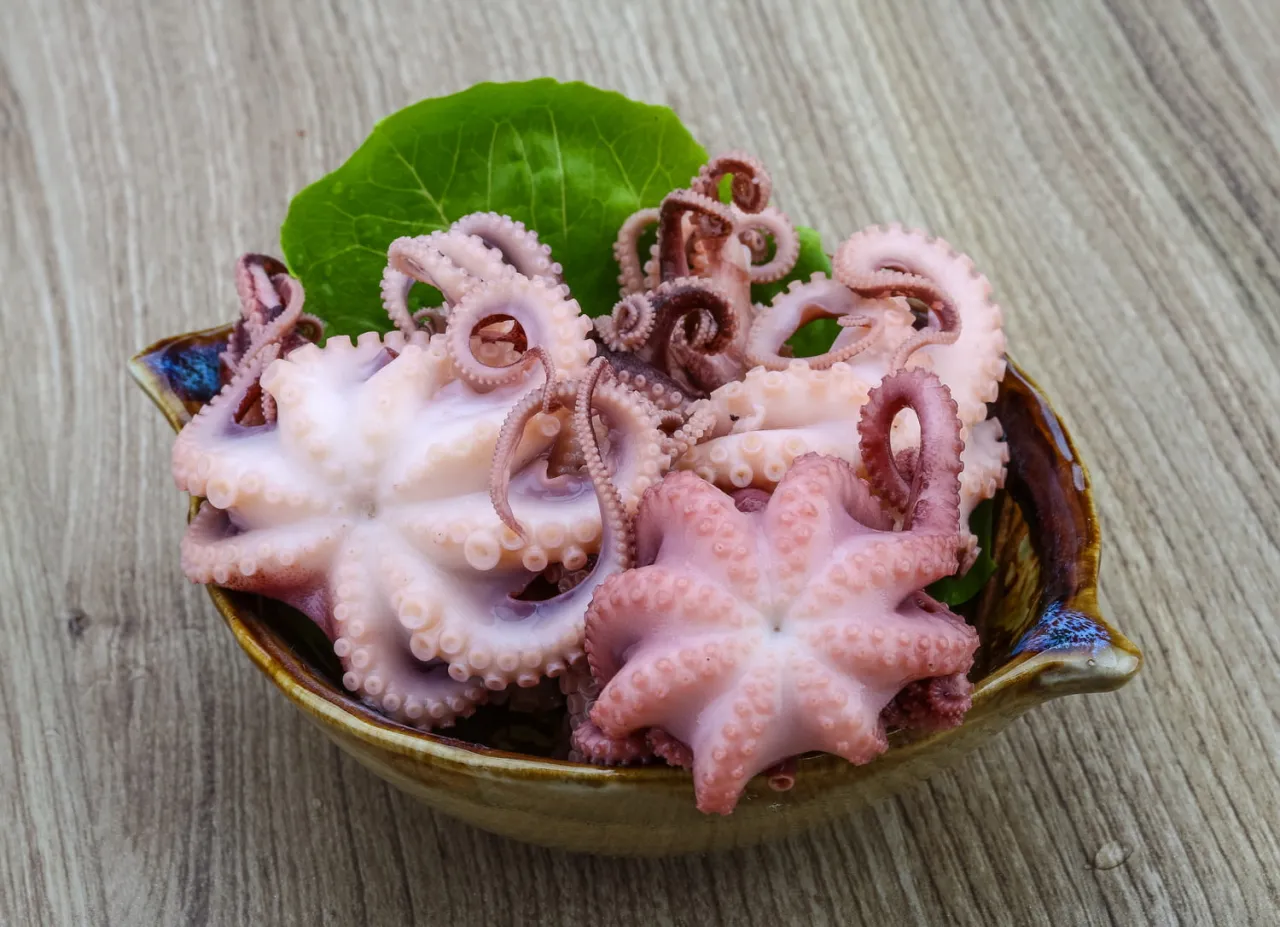 Différents types de poulpe frais et surgelé