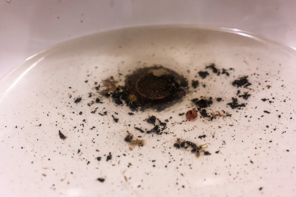 Najczęstsze przyczyny zator&oacute;w w rurach domowych