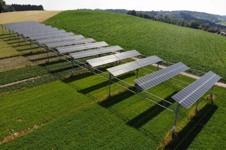 Agrowoltaika w Polsce przykłady